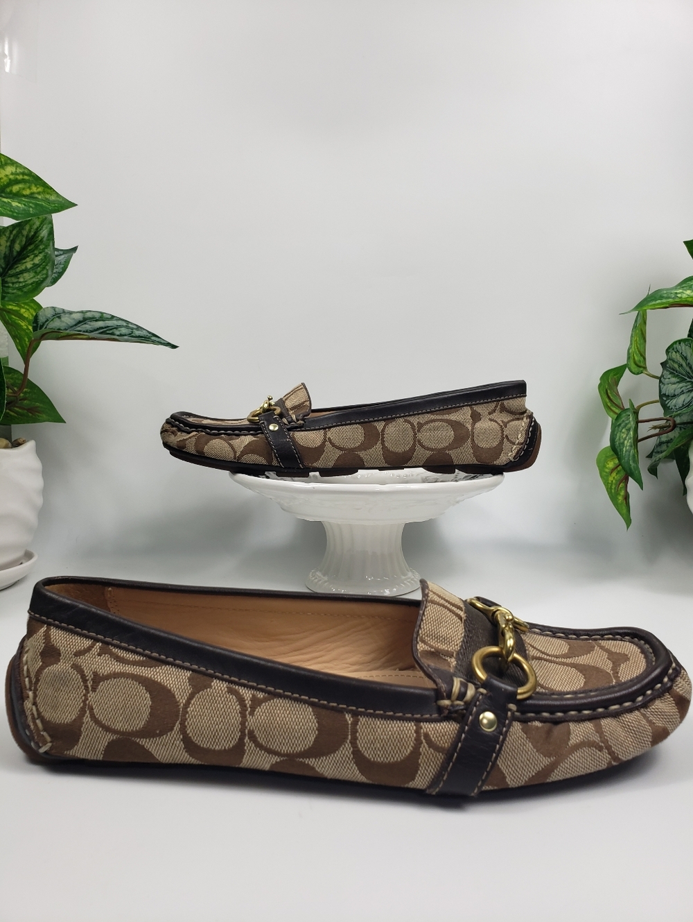 COACH Signature Canvas w/ Horsebit Buckles - Driving Loafers Classic Iconic 8 - Picture 8 of 14